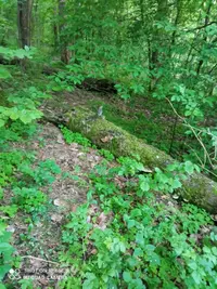 IMG_20210524_202317_compress32.webp