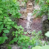 IMG_20210524_195159.webp