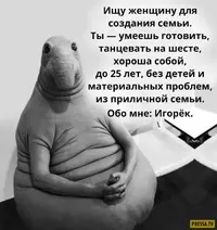 1485885670_7ex5byv4020.webp