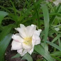 IMG_20210524_195132.webp