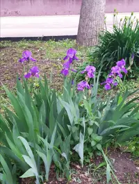 Screenshot_20210524_210157.webp