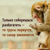a97fa517ba33f802128f9a92bdc7c84c.webp