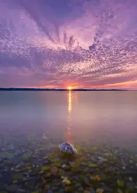 original.webp