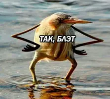 52c2f450ce6738efce571eee15c340d6.webp