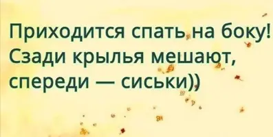 IMG_20210527_000947.webp