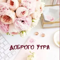 IMG_20210527_065220.webp