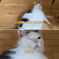 1578035040183762890.webp