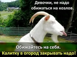 Козел.webp
