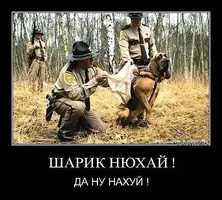 fPtZELyV6Js.webp