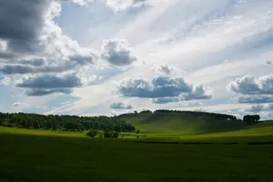 VPJsafK1LRY.webp