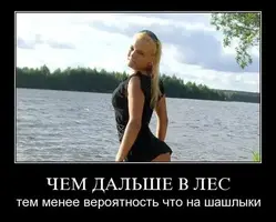1542353508_1.webp