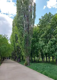 20210509_144801.webp