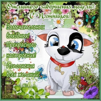 07-39-12-20-6.webp