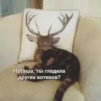 28ad559bbc7bee358d4b0db7594840e9.webp