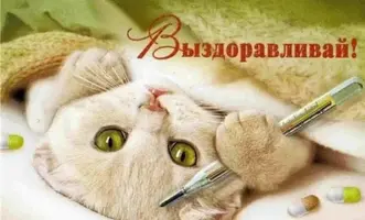 Screenshot_2021-05-28-13-50-44-44.webp
