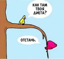 c97149f31897a8b59717cb96a2c3d29c.webp