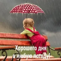 unnamed (1).webp