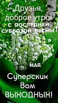 FB_IMG_1622262693644.webp