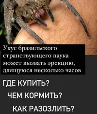Screenshot_20210529_091143.webp