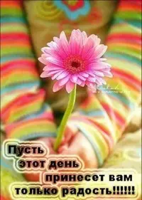 37c870f8ec581f8337c4218cd1021b79.webp