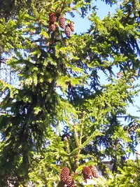 IMG_20210511_102250_1.webp