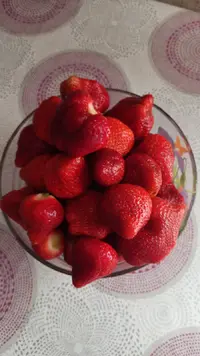 IMG-20210529-WA0032.webp