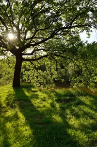 _DSC9606.webp