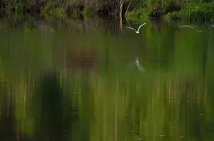 _DSC9631.webp