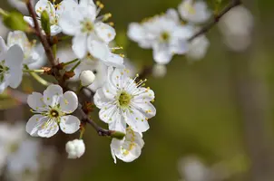 _DSC9555_1.webp