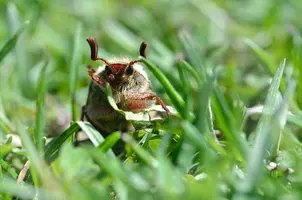 _DSC9470.webp