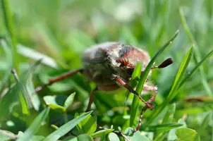_DSC9472-1.webp
