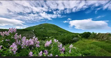 Screenshot_2021-05-29-23-18-04-61.webp