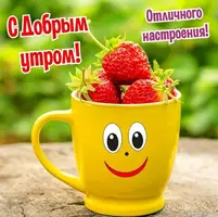 73f828461ba011653121dd4ed9cbda2d.webp