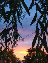 IMG_20210530_204212.webp