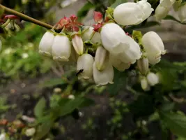 IMG_20210530_230542.webp