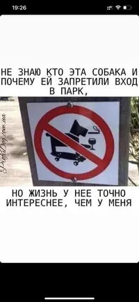 IMG-445379f71fbca941f1d63febd9cd1d78-V.webp