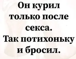 IMG-d5ecc9db373d00aed83955ea8a4bd4fb-V.webp