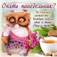 Понедельник-с-добрым-утром-картинки-19.webp