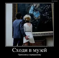 d6d9e2e94e819bb68c634350305ff6d8.webp