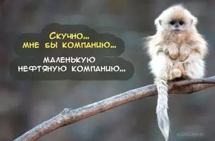 e225169bf492add24265f3eeb3c38cc1.webp