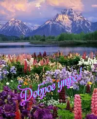 IMG-20210531-WA0005.webp