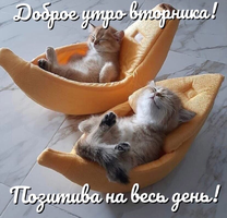 IMG_20210601_061244.webp