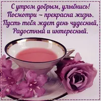 17-3-800x800.webp
