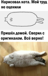 IMG_20210531_185020.webp