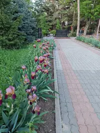 20210519_190715.webp