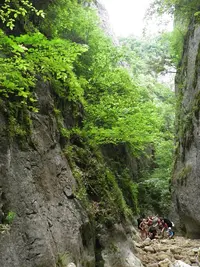 IMG_20210529_170801.webp