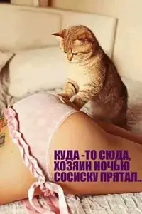 f33b97cef7dfe153b09fab5f78c3f3df.webp