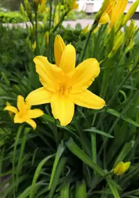 IMG_20210601_124836.webp