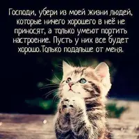 d7a3e916a1703b2d993f5a9ad4ca0931_compress71.webp