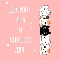 b8b30bf70d44ce16e2910e25f67862ab.webp